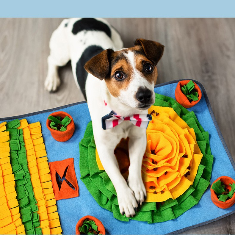 Veggie Garden Snuffle Mat