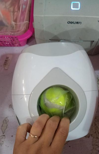 Interactive Pet Feeder and Fetcher Toy
